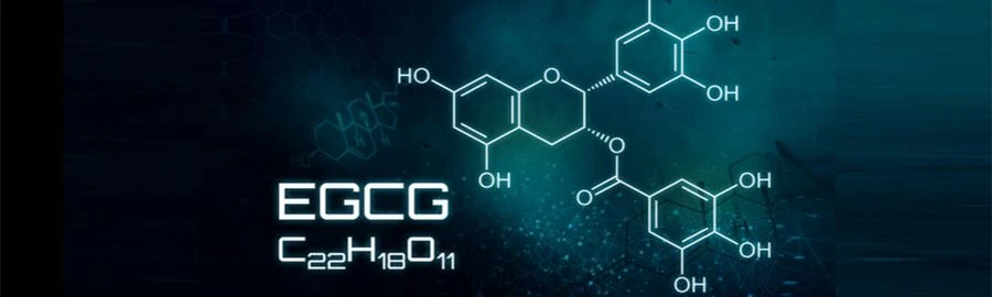 What is EGCG What is EGCG