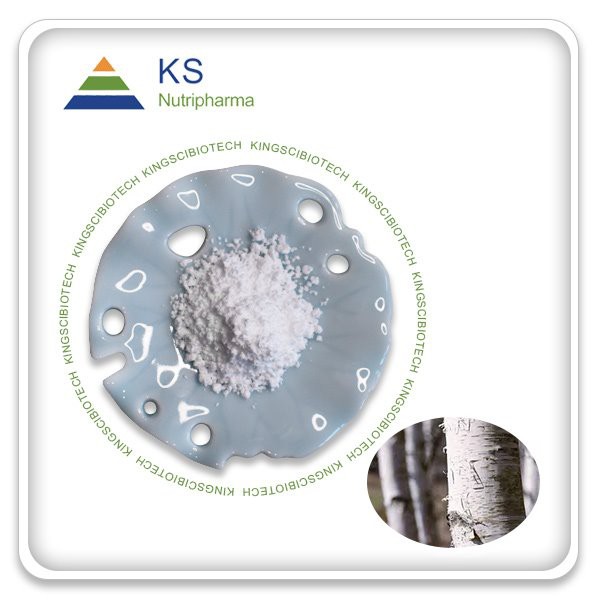 Екстракт березової кори